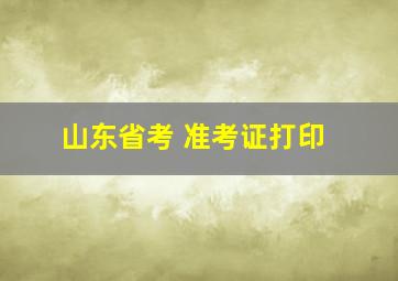 山东省考 准考证打印